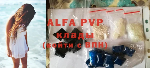 стаф Абинск
