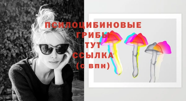 стаф Абинск