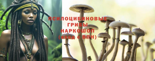 стаф Абинск