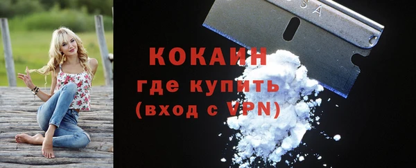 стаф Абинск