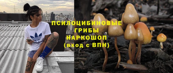 первитин Абаза