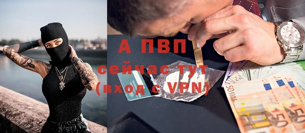 стаф Абинск