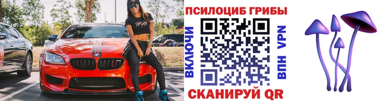 Галлюциногенные грибы GOLDEN TEACHER Оренбург